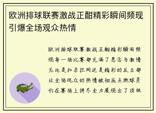 欧洲排球联赛激战正酣精彩瞬间频现引爆全场观众热情